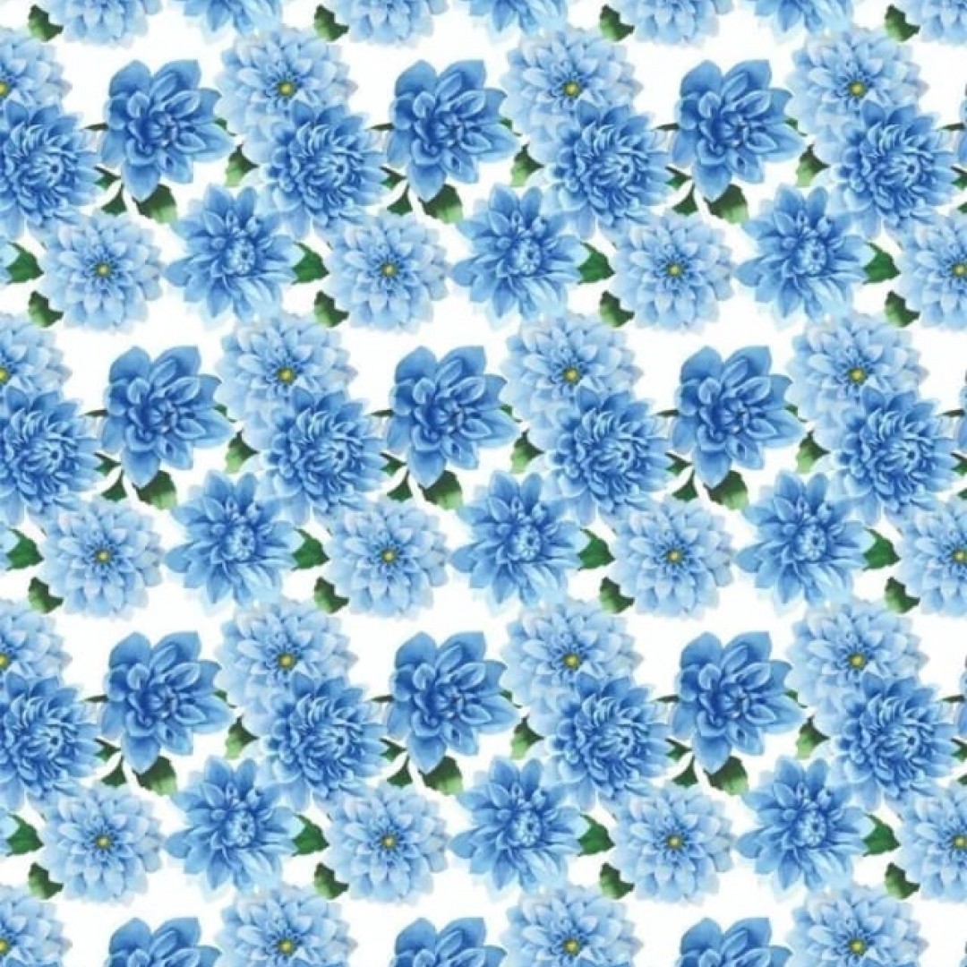 linea-dalia-